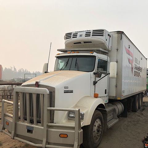 Thermoking Reefer Unit Repair